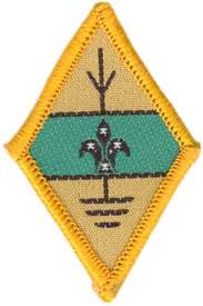 Amateur Radio Operator Badge